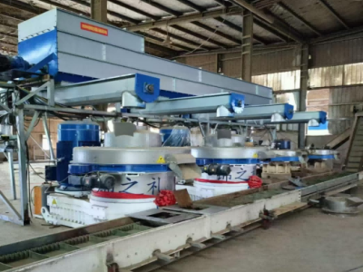 Biomass Pellet Mill