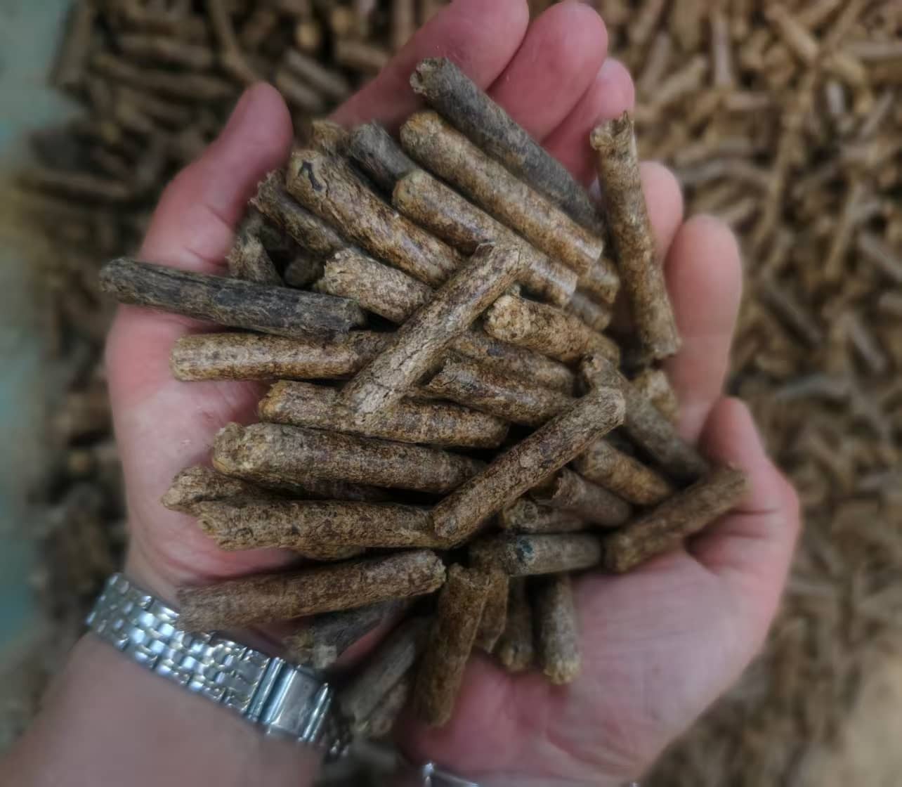 Biomass Peanut Shell Pellet Machine.png Biomass Peanut Shell Pellet Machine.png