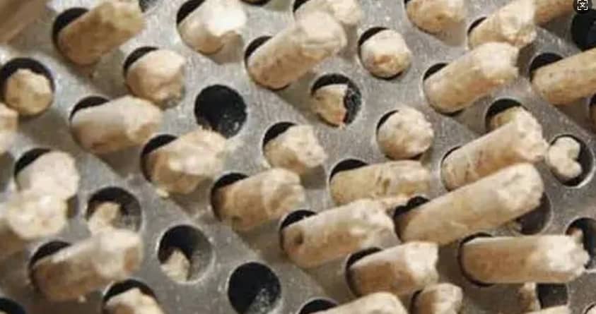 Rice Husk Pellet Machine.png